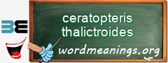 WordMeaning blackboard for ceratopteris thalictroides